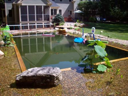 swim pond