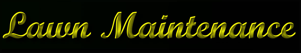 Lawn Maintanence